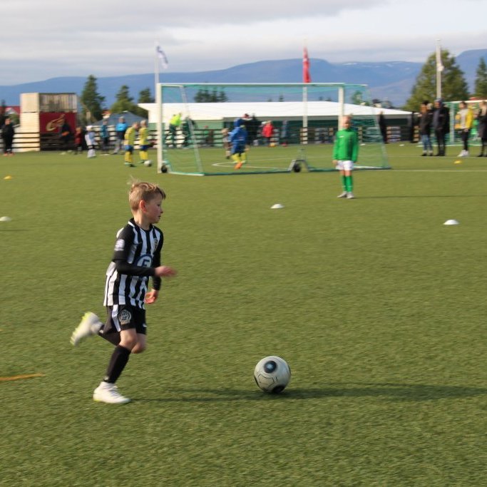 Svavar Orri Gunnþórsson