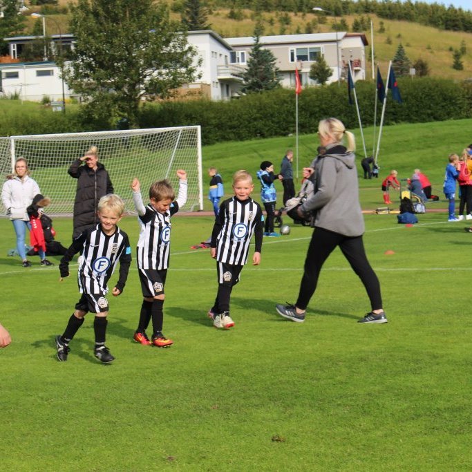 Ari, Angantýr Magni og Bjartur