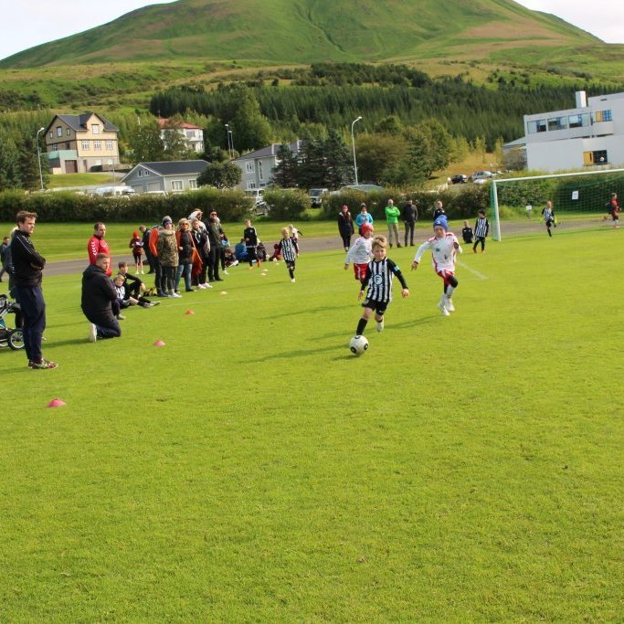 Svavar Orri Gunnþórsson