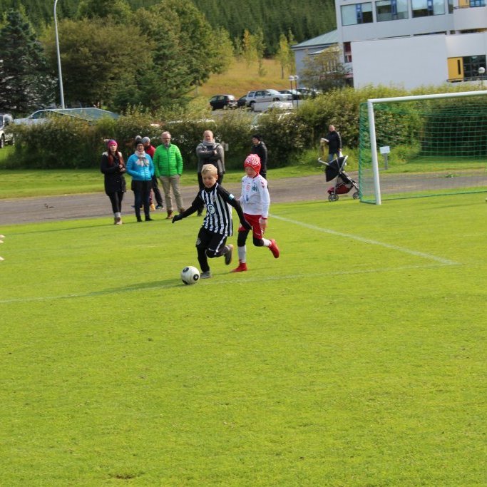 Tryggvi Hrafn Haraldsson