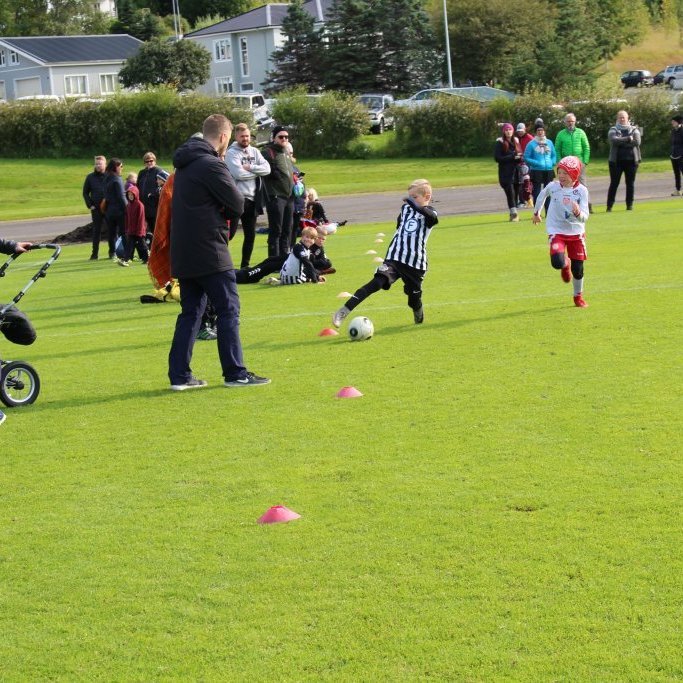 Tryggvi Hrafn Haraldsson