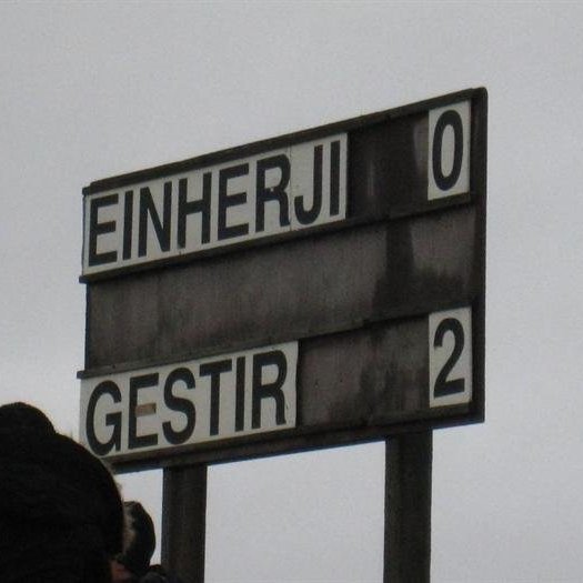 wwwvopnafjardarhreppuris356einherji-magni2021