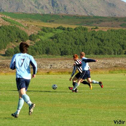 screen-shot-2020-04-20-at-030041