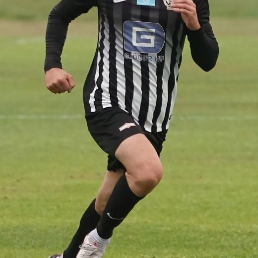 kf_magni_2021_saevar-20-denoise-standard