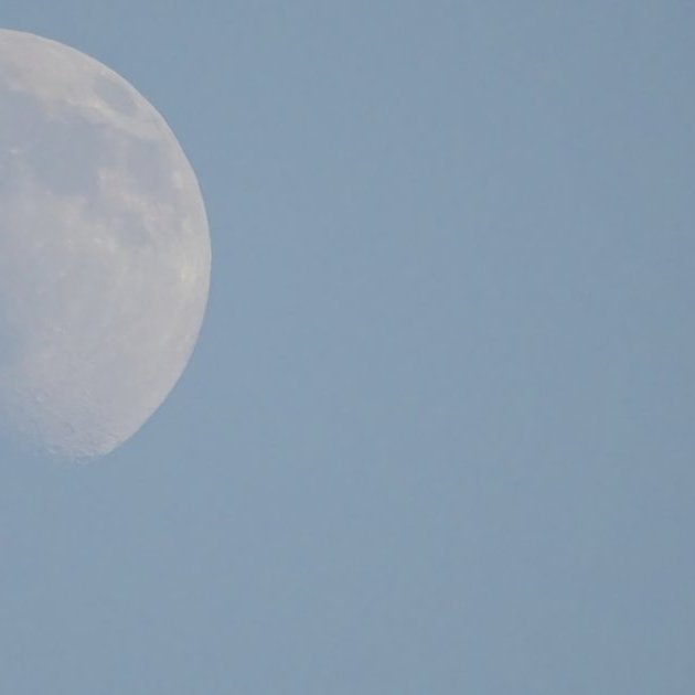 magni_kf_2022_saevar-9-standard