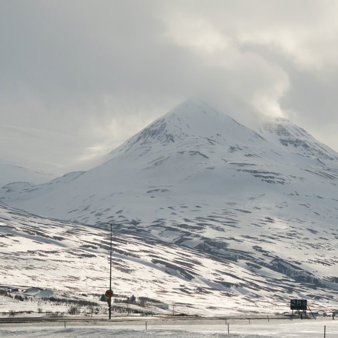 magni_kf_leingjub_2022_saevar-60-of-117