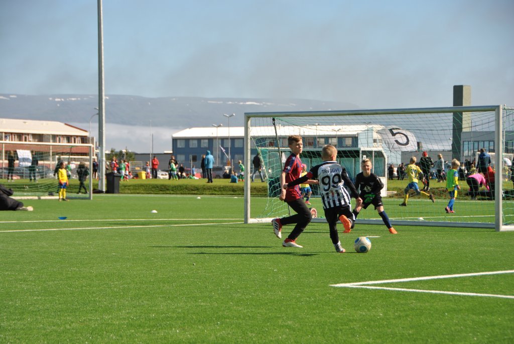 Tryggvi Hrafn Haraldsson