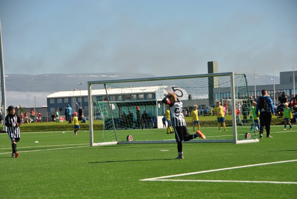 Tryggvi Hrafn Haraldsson