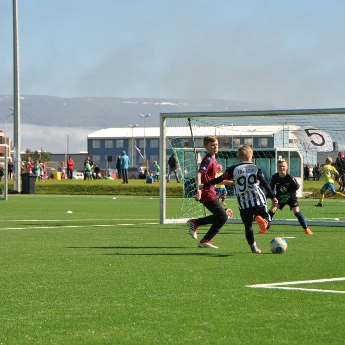 Tryggvi Hrafn Haraldsson