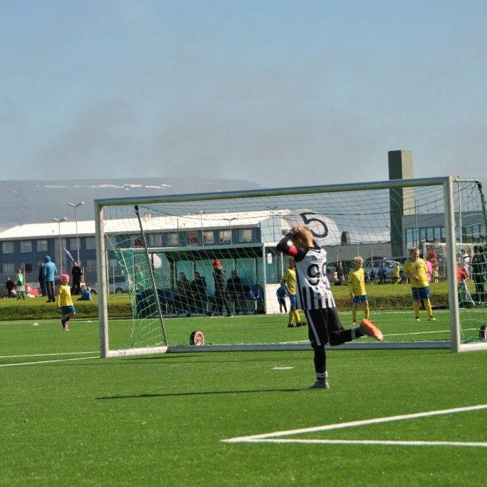 Tryggvi Hrafn Haraldsson