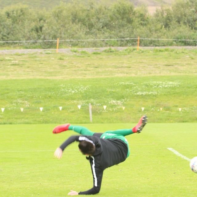 37167542_1974216655945662_6768861346030157824_o