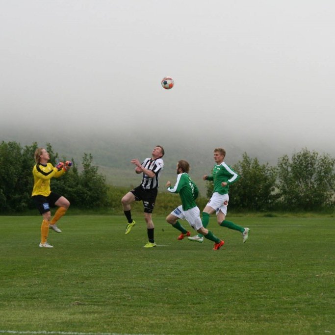 11894059_10204941972613910_7660520013046665490_o