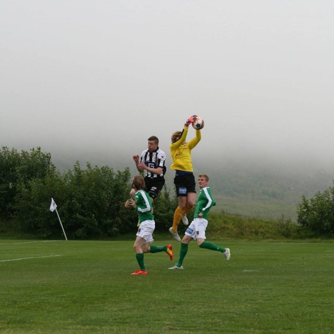 11947912_10204941972973919_759899333422344759_o