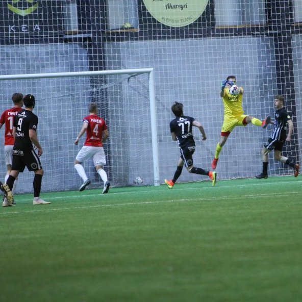 60341355_10219732370610537_7122356237030653952_o