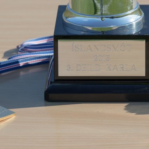 magni_kfs_2015_saevar-8