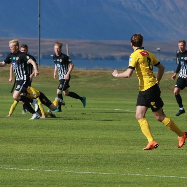 40584399_2054612991239361_4252869362299437056_o