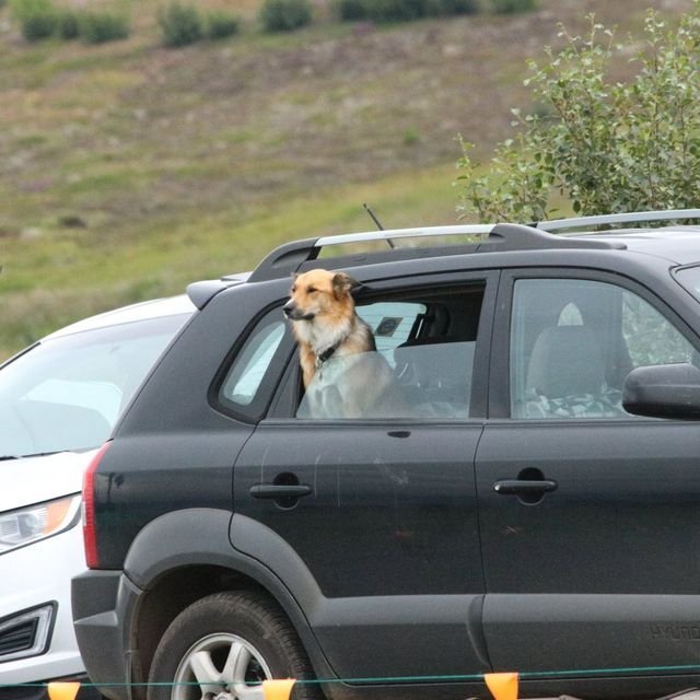 38901044_2018050334895627_7349063659093491712_o