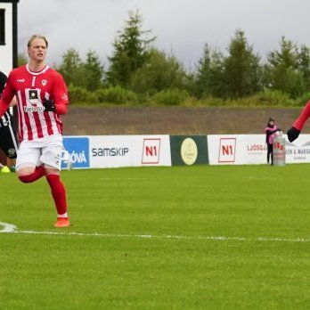 magni_trotturr_2919_saevar-26-of-66