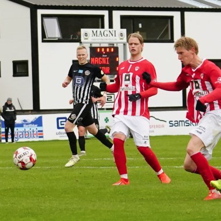 magni_trotturr_2919_saevar-27-of-66