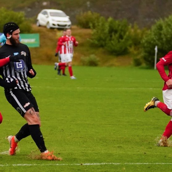 magni_trotturr_2919_saevar-63-of-66