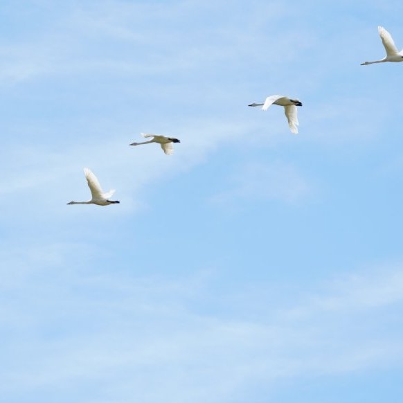 magni_leiknirf_2021_saevar-70