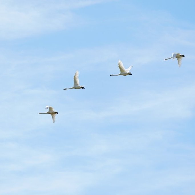 magni_leiknirf_2021_saevar-71