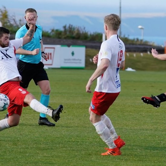 magni_tor_2020_saevar-45-denoise-denoise