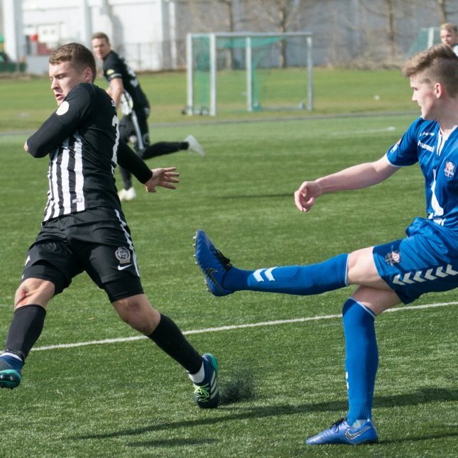 kf_magni_mjolkb_2019_saevar-33