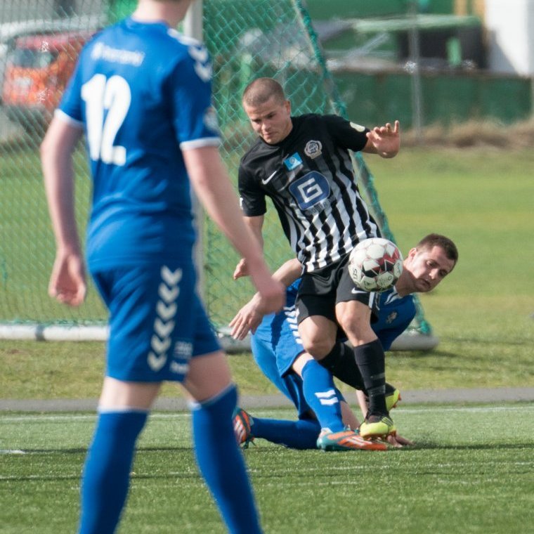 kf_magni_mjolkb_2019_saevar-38