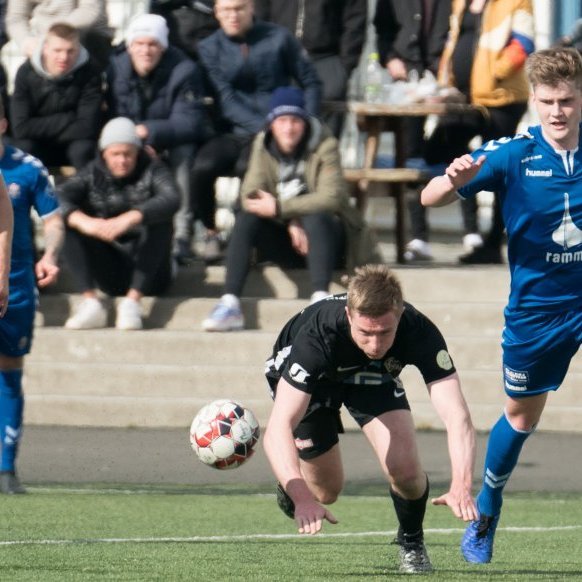 kf_magni_mjolkb_2019_saevar-43