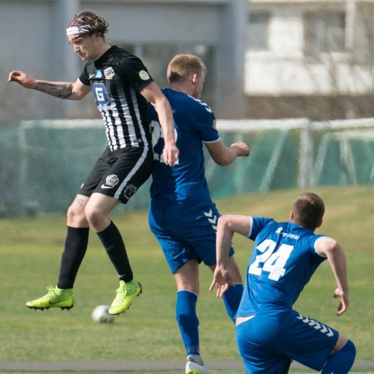 kf_magni_mjolkb_2019_saevar-45