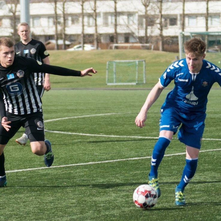 kf_magni_mjolkb_2019_saevar-54