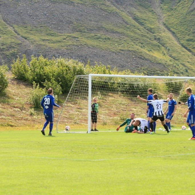 11780004_10204840376034059_1682698744427969597_o