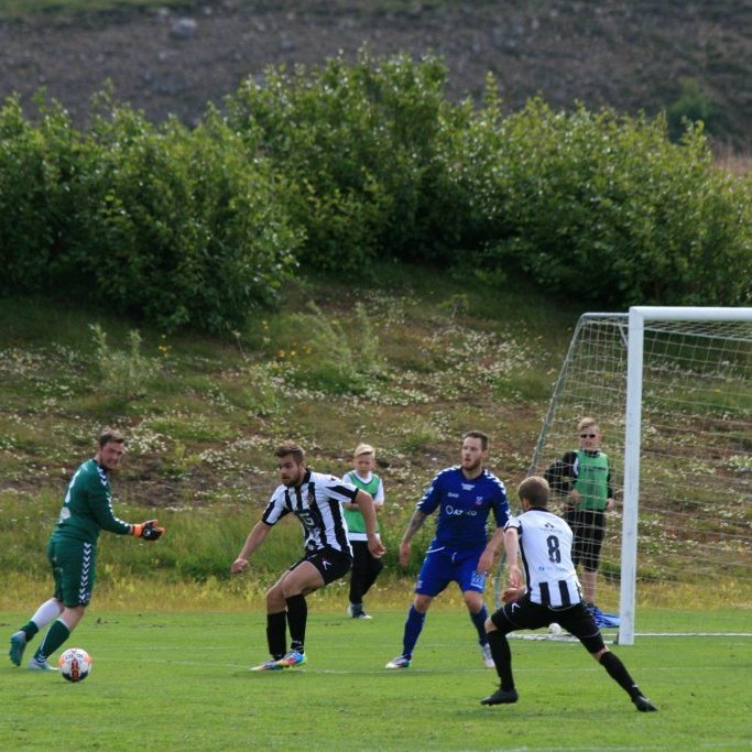 11792153_10204844510417416_5340107917782624074_o