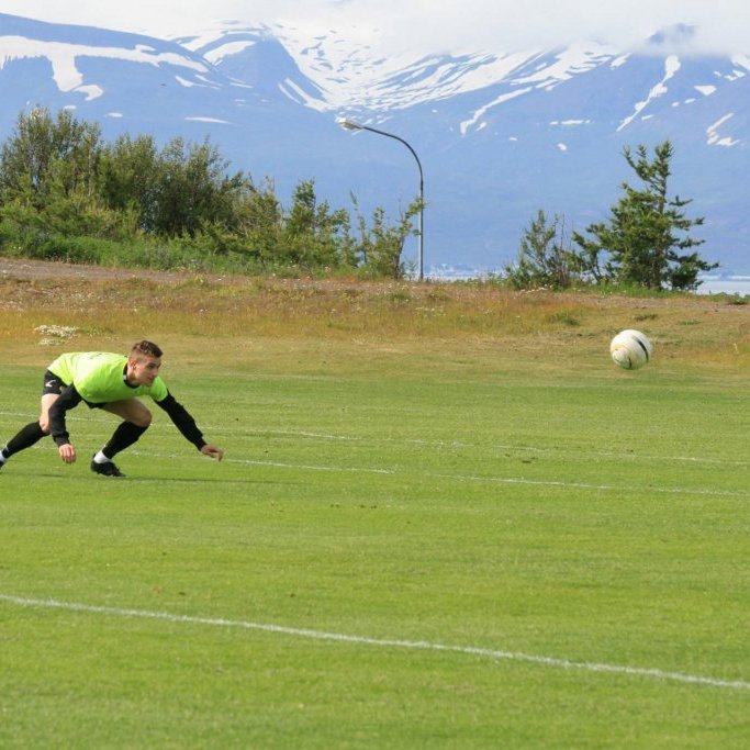 11807518_10204840374474020_3795774639840244621_o