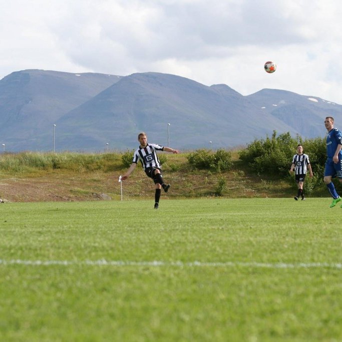 11807558_10204844514017506_6265632022810677193_o