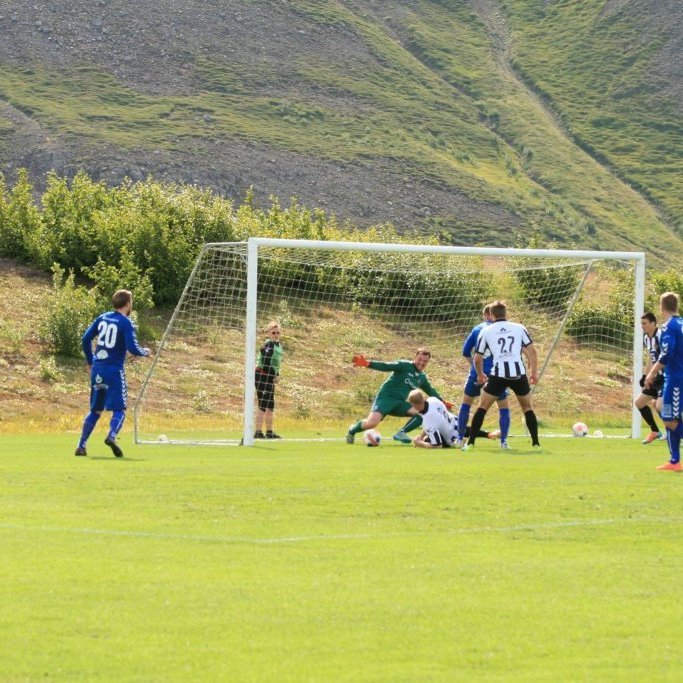 11816152_10204844507697348_7326203688588620889_o