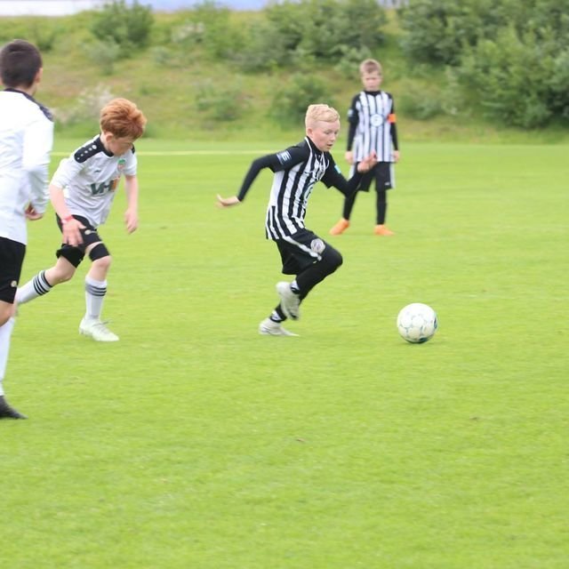 36929690_1969010786466249_7156374534088556544_o