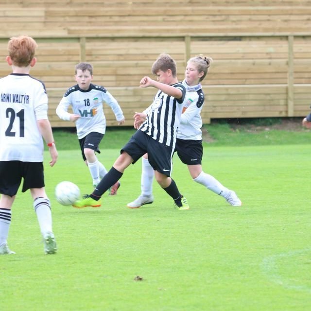 36954482_1969011116466216_7657772362003120128_o