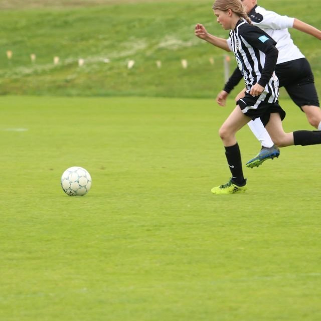 36972293_1969010136466314_556831330126528512_o