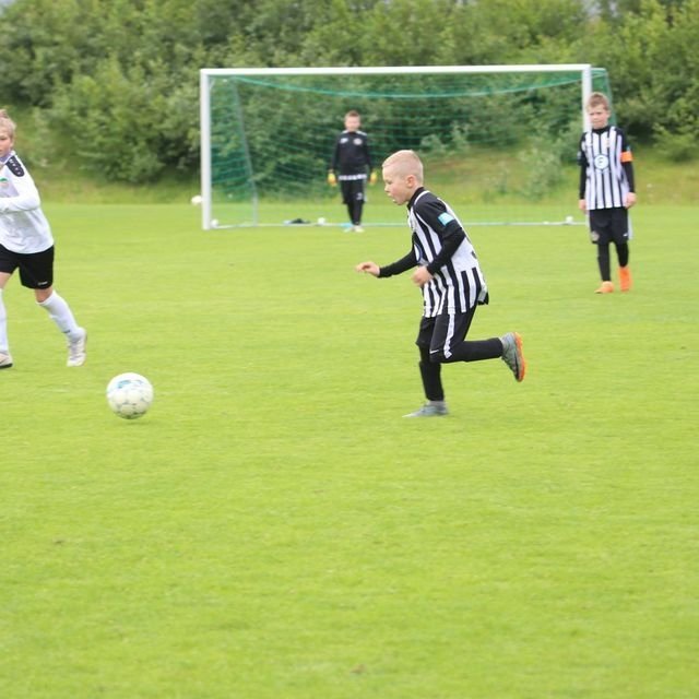 37002271_1969011409799520_7497968203855822848_o