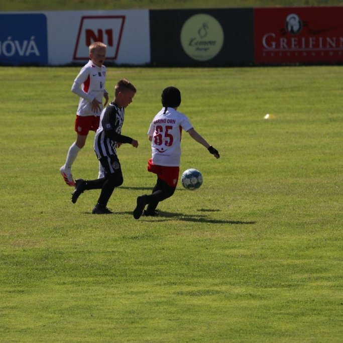 103803383_3340482955985685_1394477544148590327_o