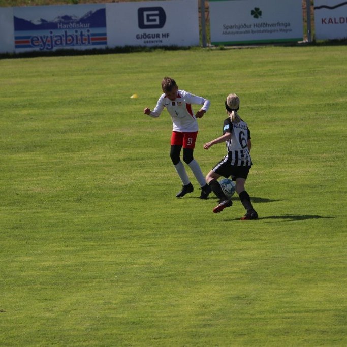 104686174_3340483622652285_8516083893852337642_o