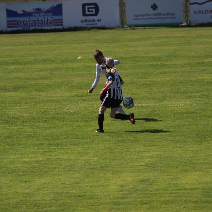 105011702_3340483632652284_6183068969634423299_o