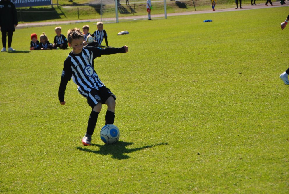 Krakkarnir sumarið 2018