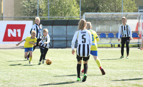 5. flokks leikir í næstu viku