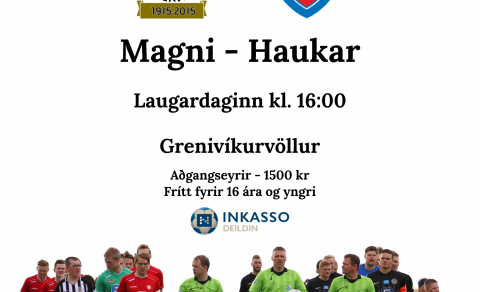 Magni - Haukar