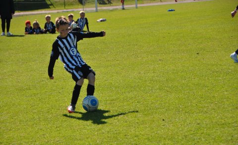 Krakkarnir sumarið 2018